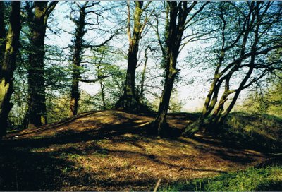 Schneckenberg